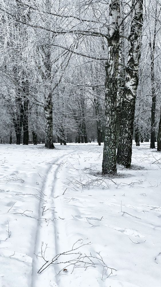 Photograph by Людмила Казак