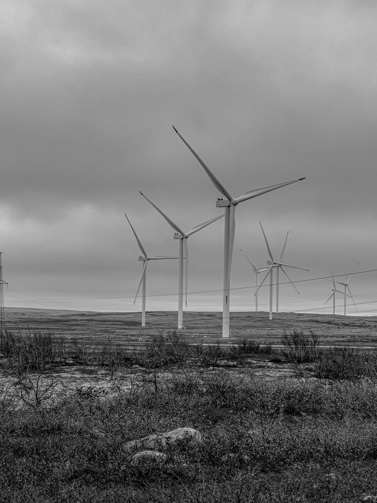 Photograph by Елена Данченко