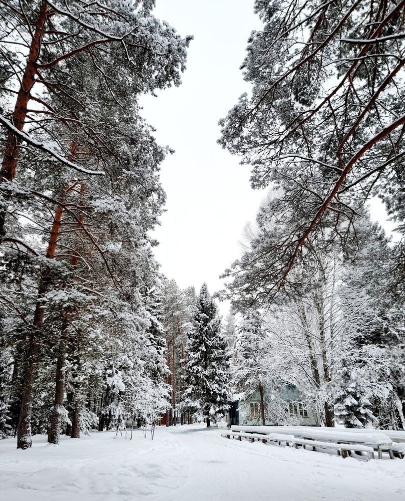 Photograph by Виктория Егорычева