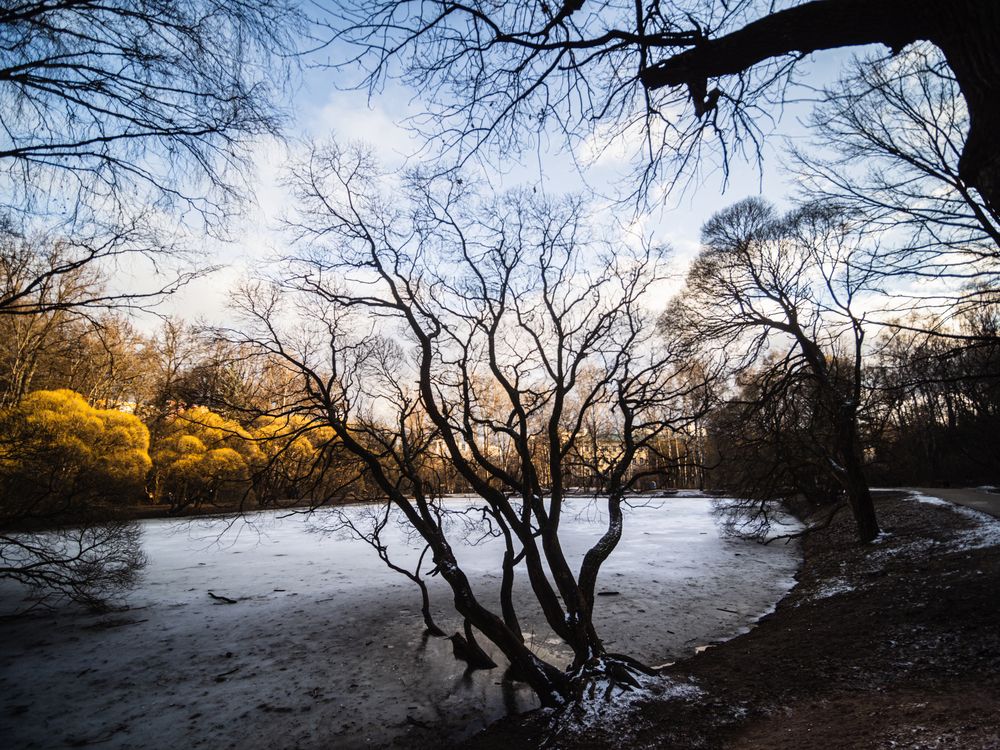 Фотография автора Татаринов Валерий