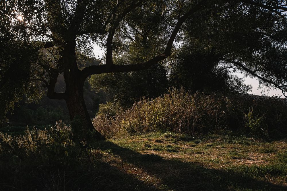 Photograph by Дарья Шацких