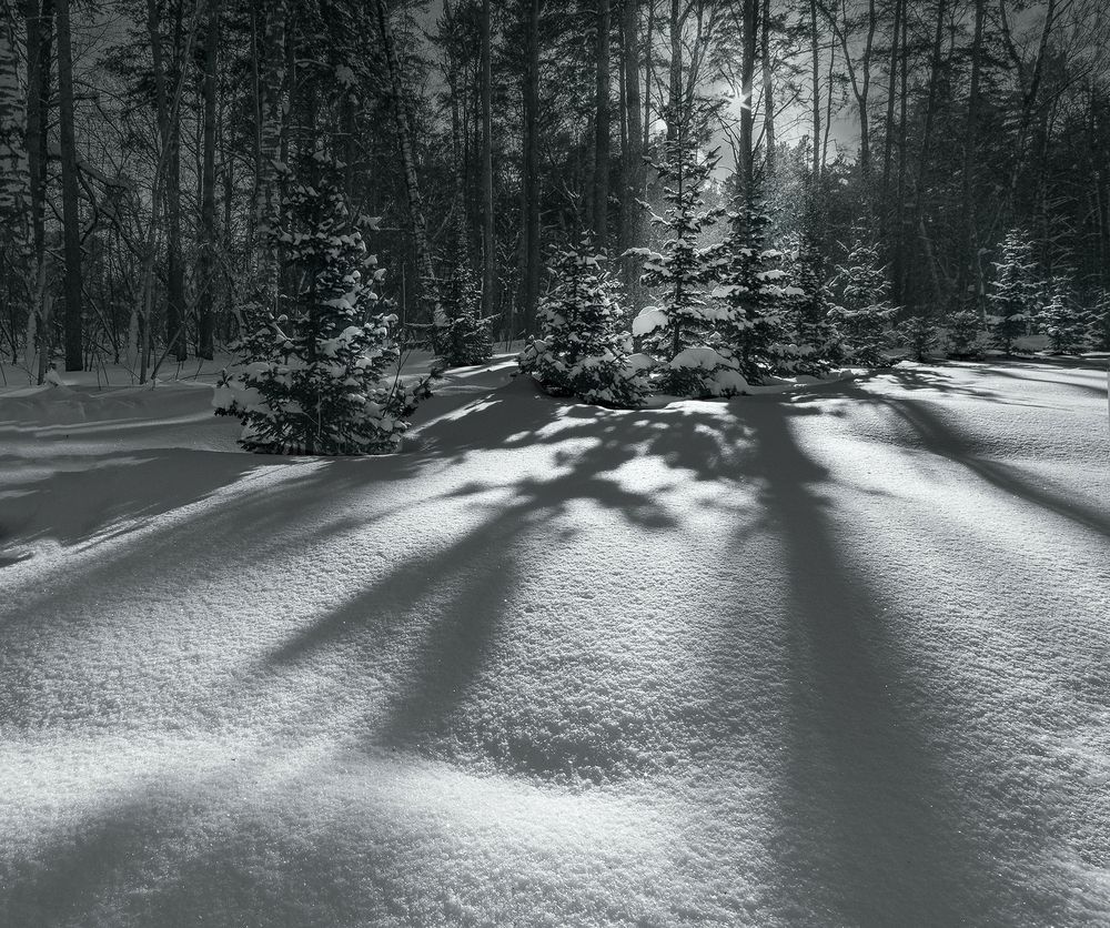 Photograph by Чичкин Валерий