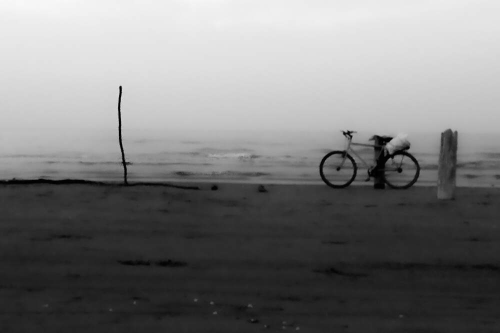 Photograph by Siavash Zarei