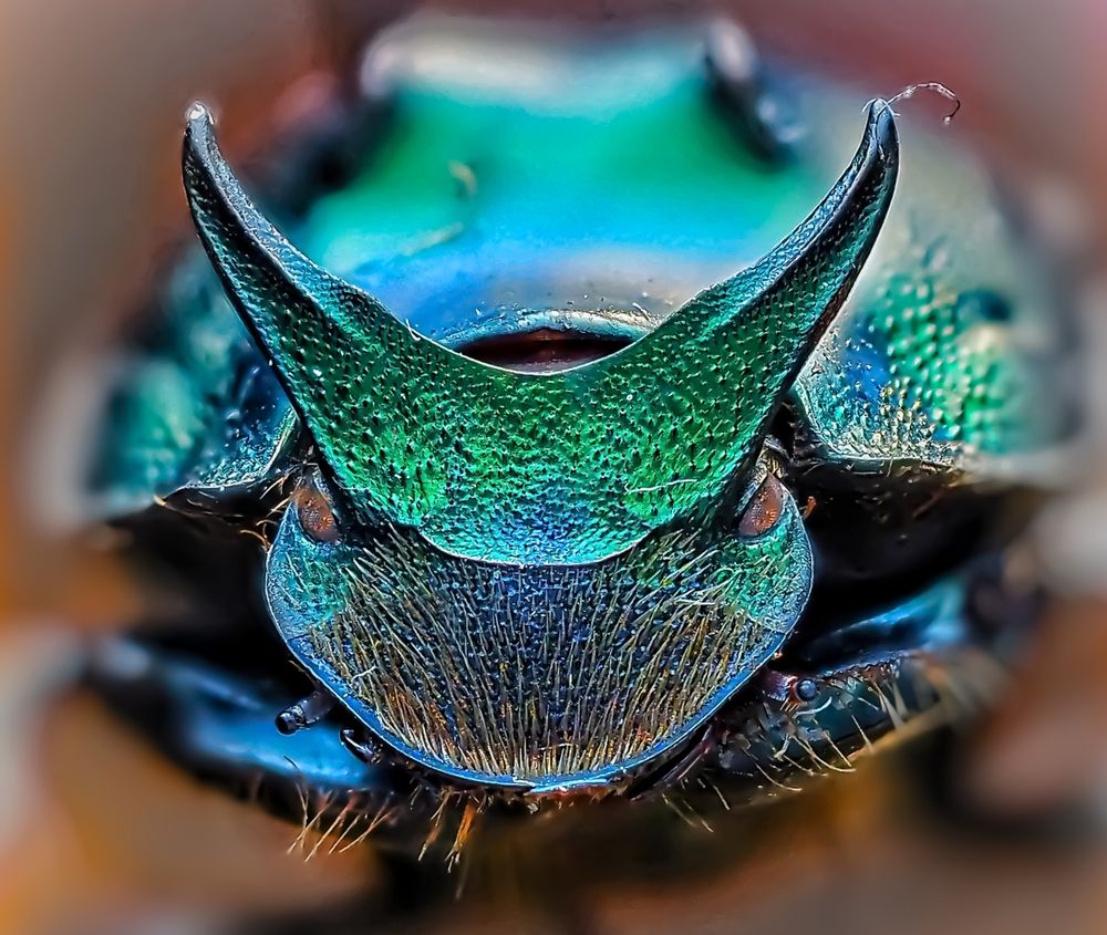 Photograph by Савчук Анатолий