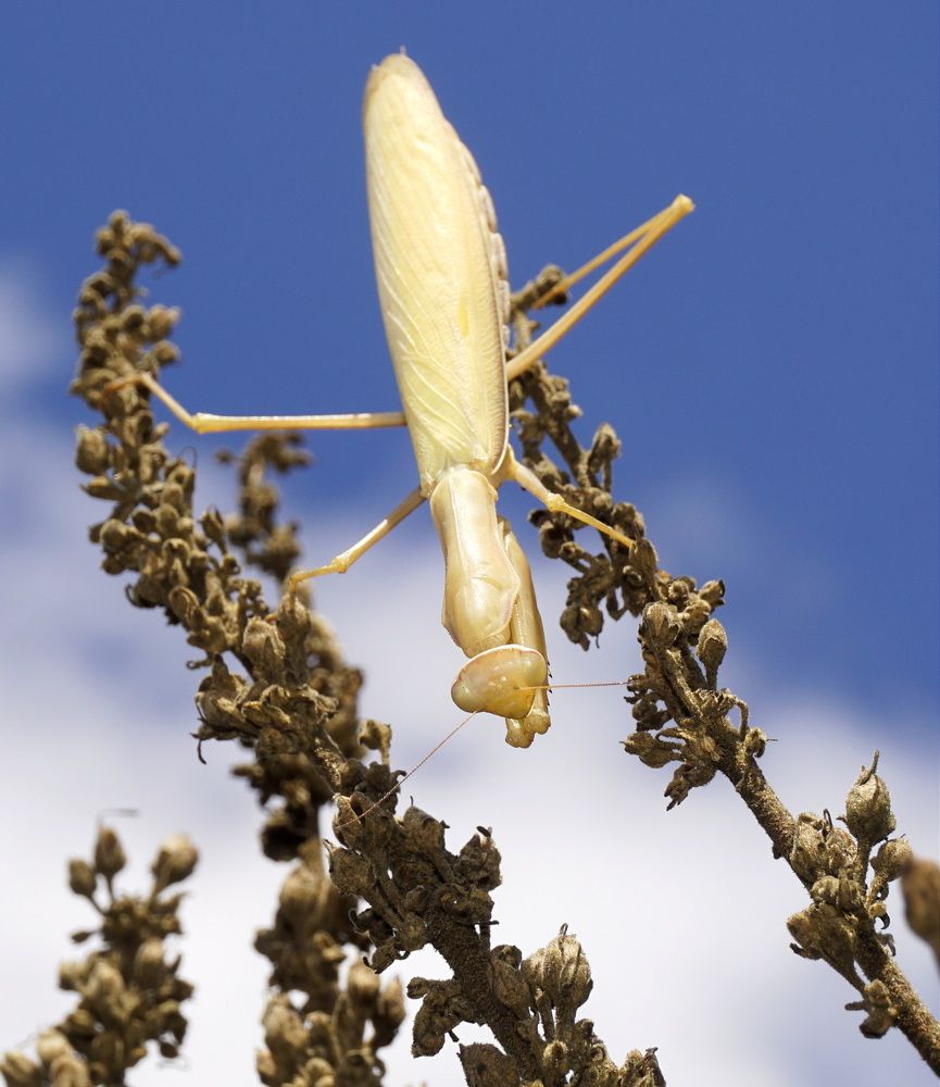 Photograph by Незабравка Христозова