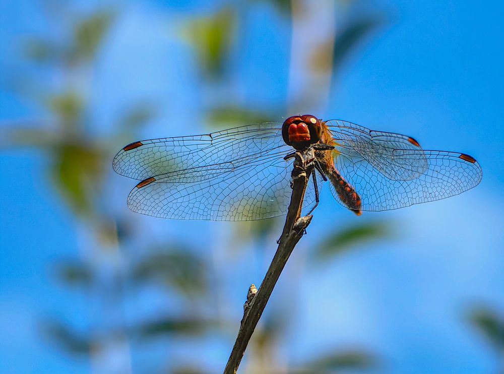 Photograph by Евгений Симион