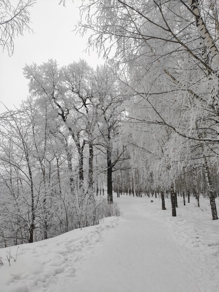 Photograph by Зыкова Наталья