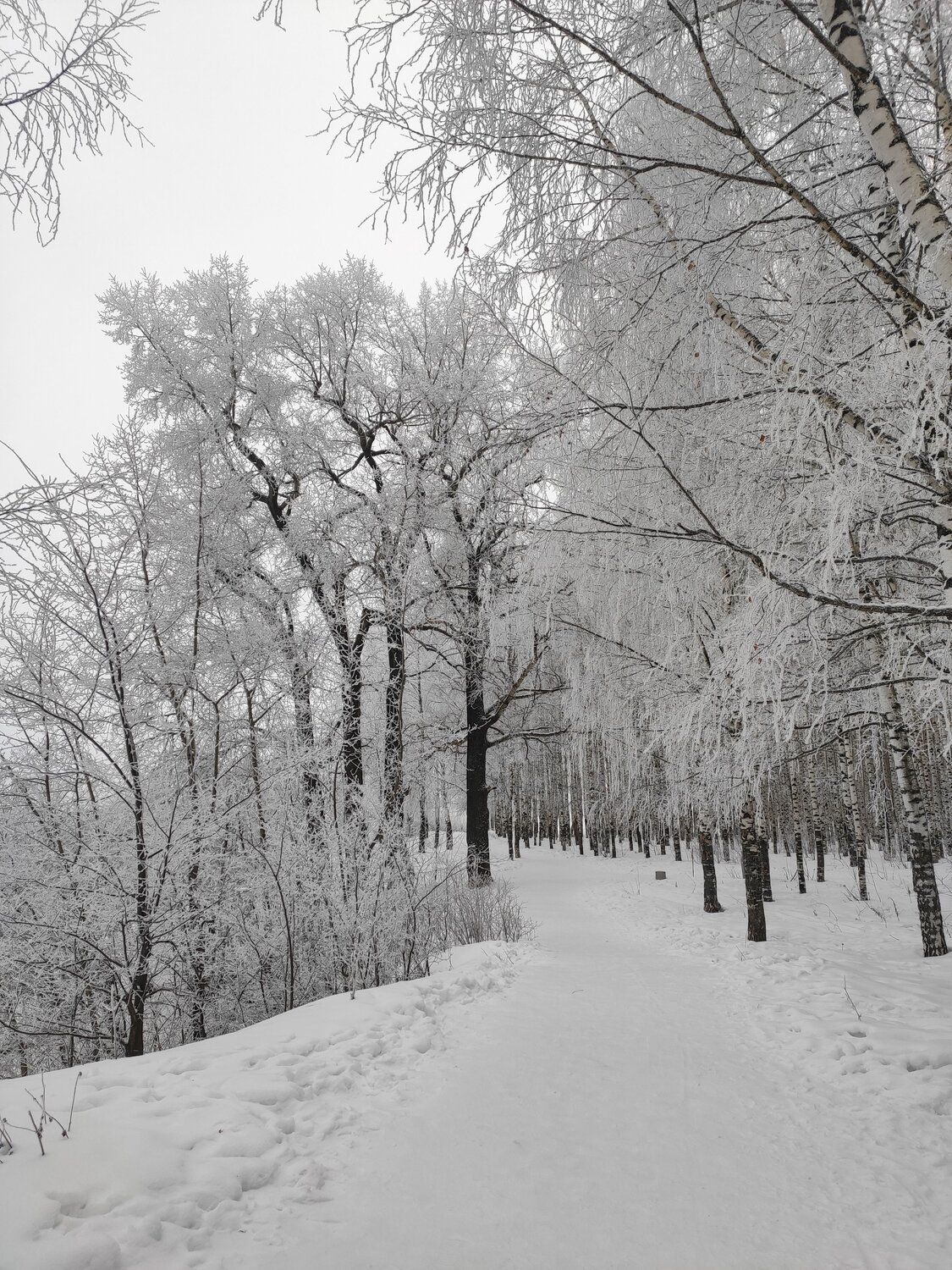 Photo #11928518