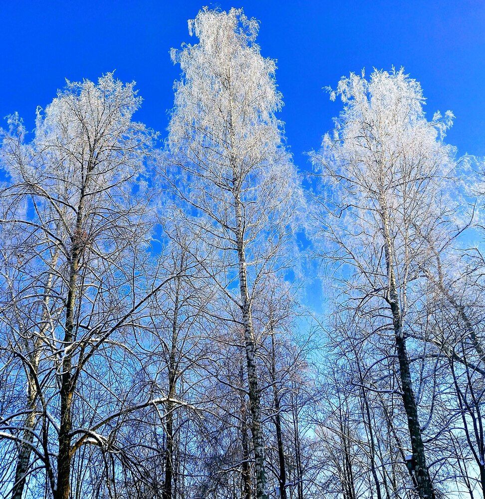 Photograph by Елена Воронова