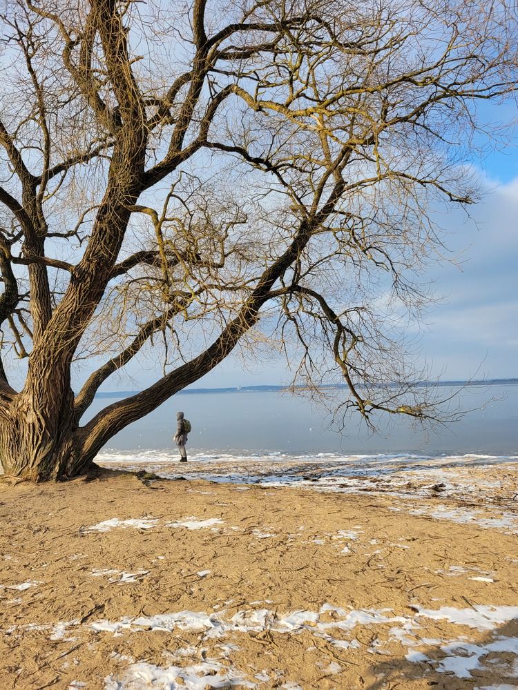 Photograph by Алина