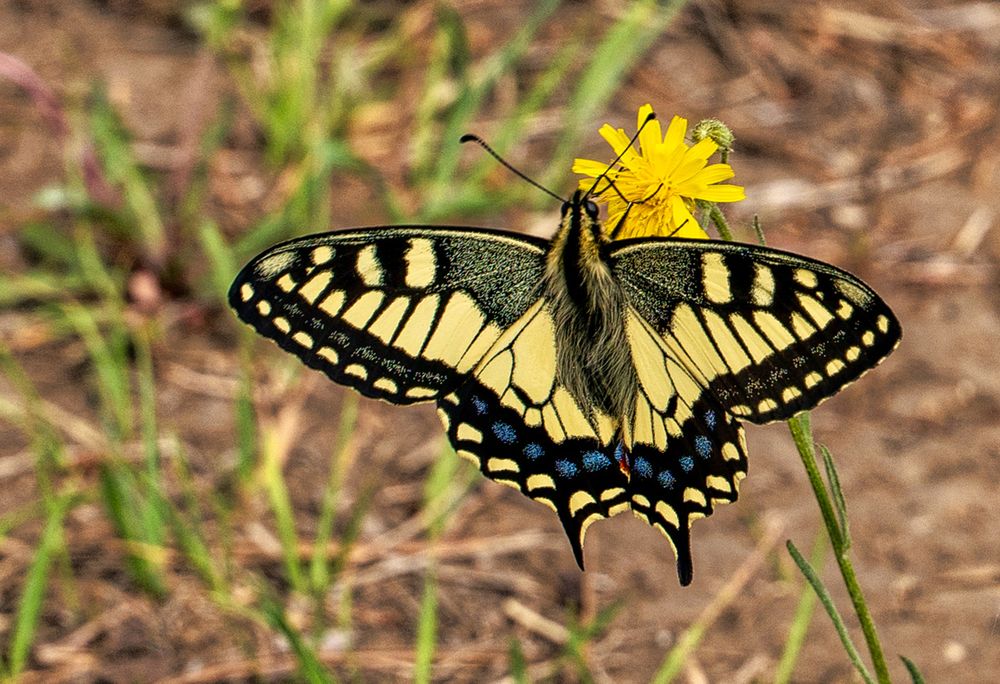 Photograph by Саргылана Прокопьева
