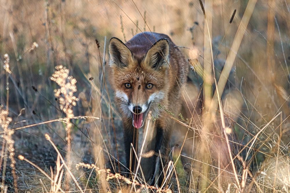 Photograph by Александр Лемешков