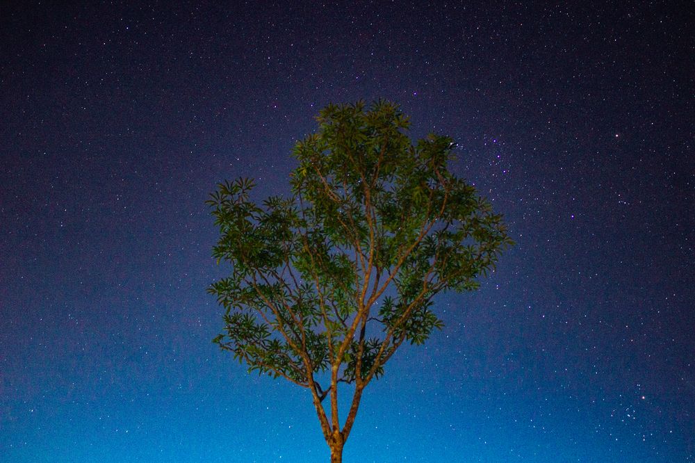 Фотография автора Allan Carvalho