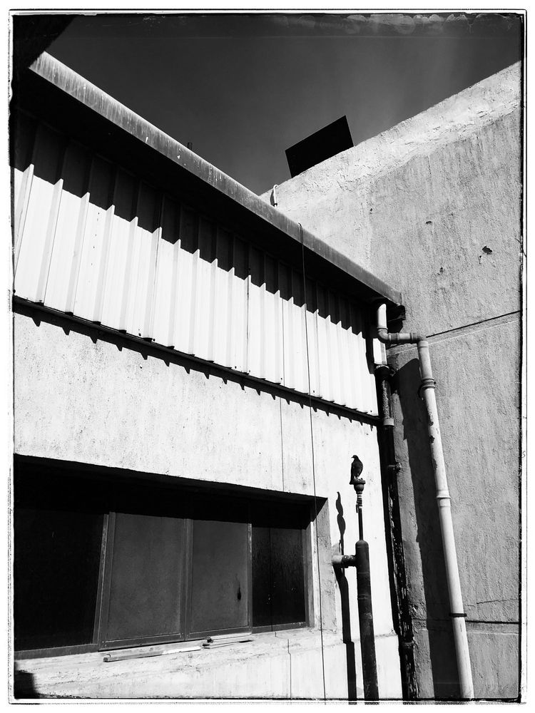 Photograph by asem arfat