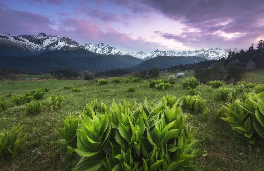 Фотография автора Lozhkin Vyacheslav