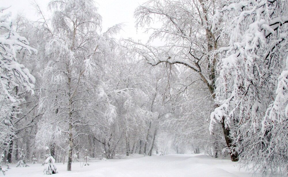 Photograph by Жанна Нечаева