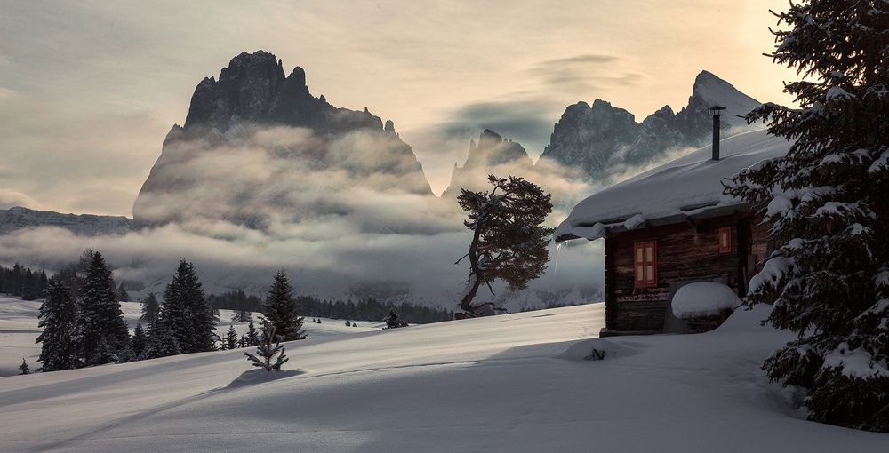 Photograph by Евгений Кармаев