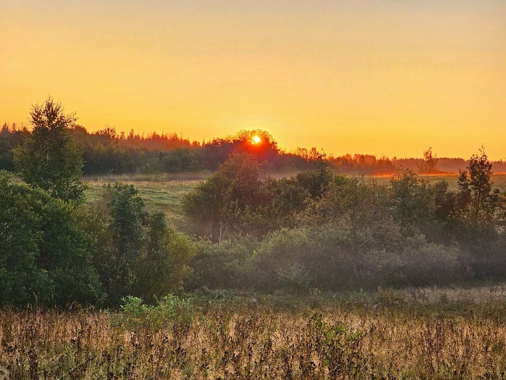 Утро на Валдае