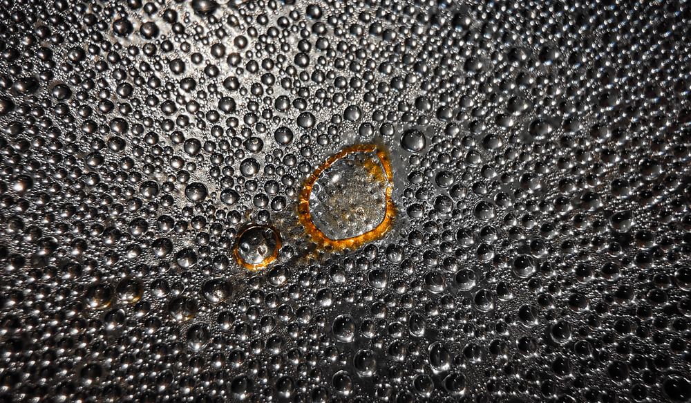 Photograph by Nikita Ostarkov