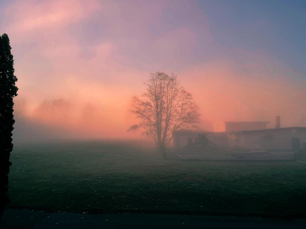 Photograph by Nihar Mane