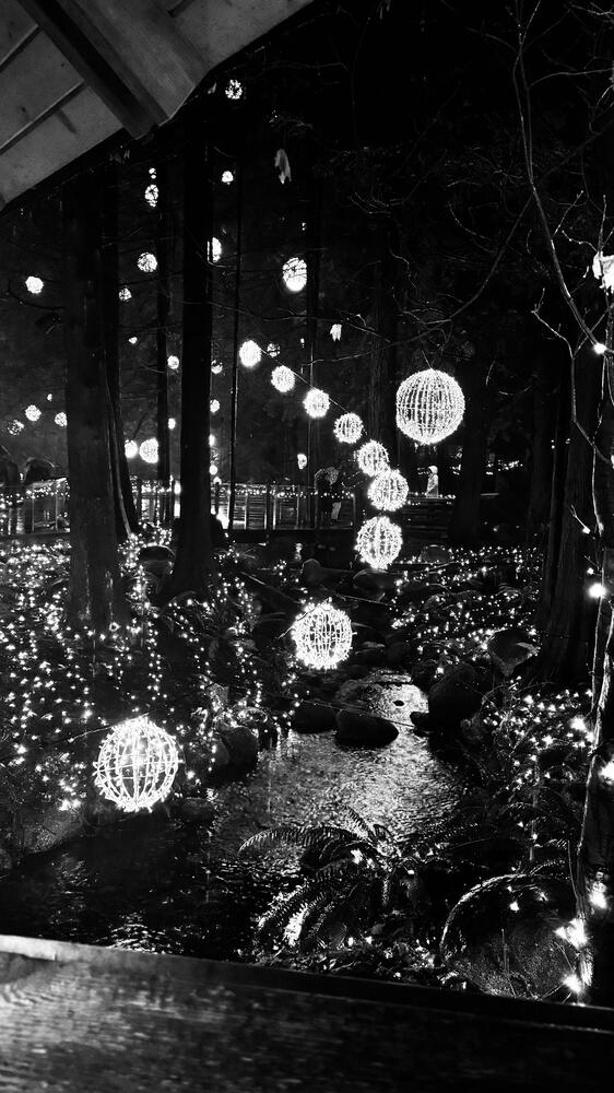 Photograph by Nihar Mane