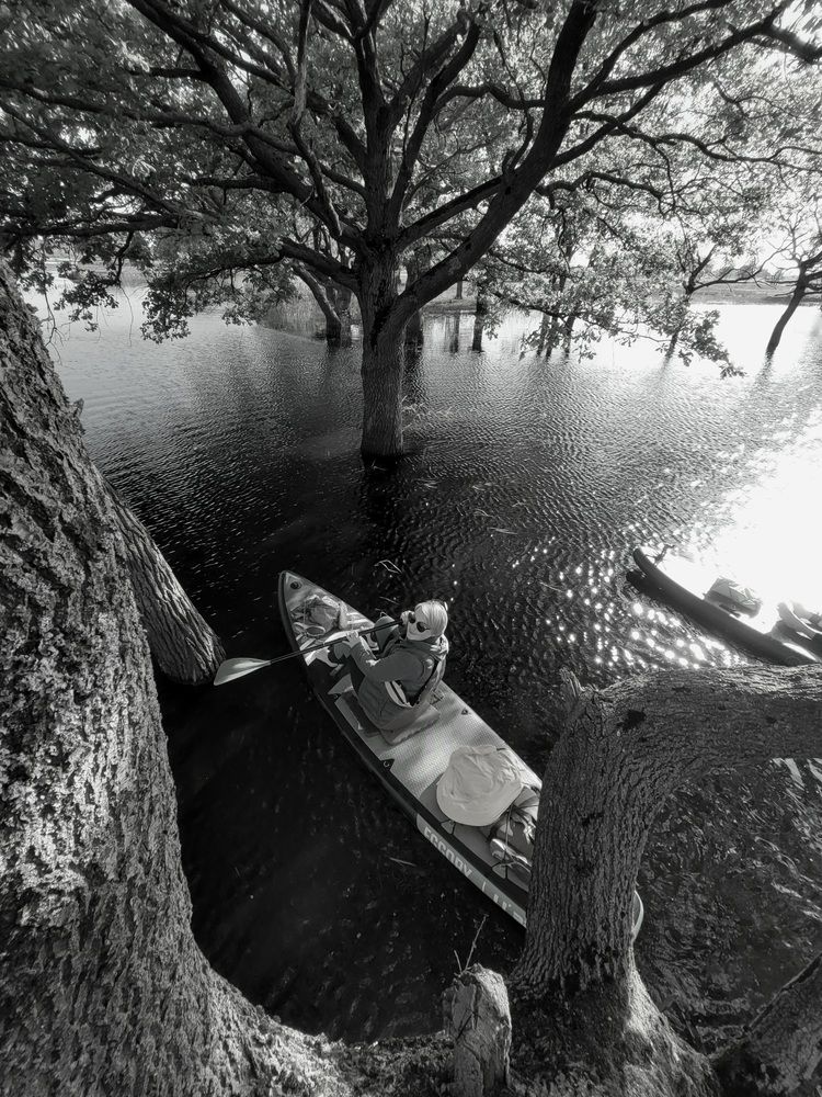 Photograph by Шляга Сергей