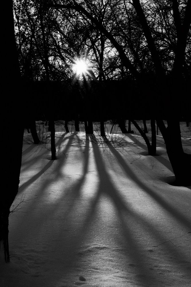 Photograph by Яна Истоцкая