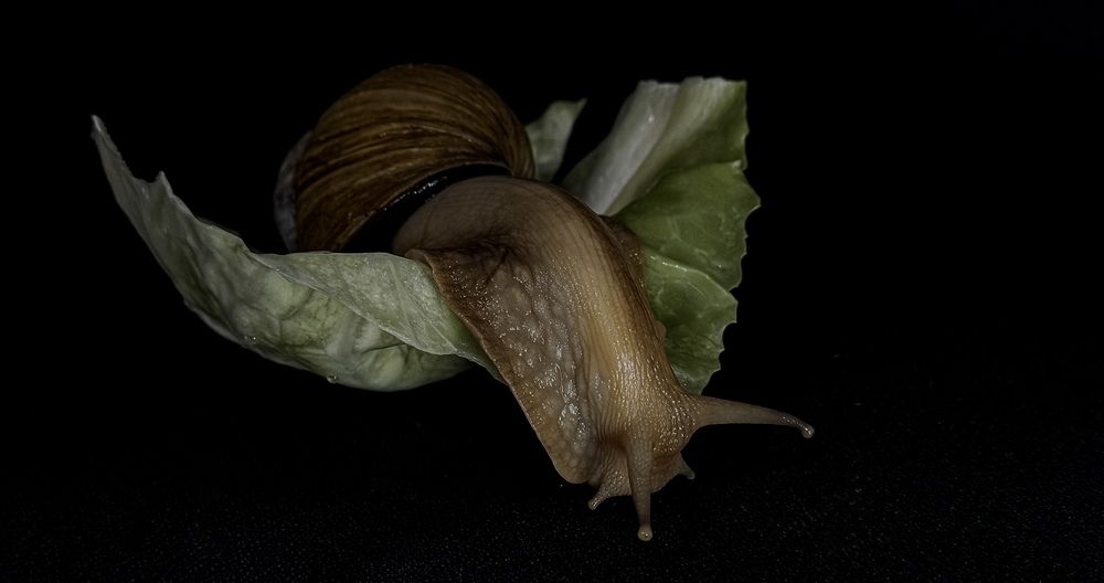 Photograph by Марина Мишутина