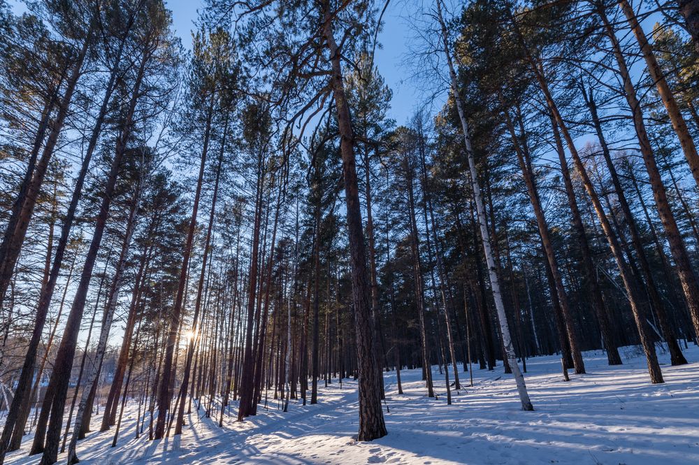 Photograph by Алексей Александрович