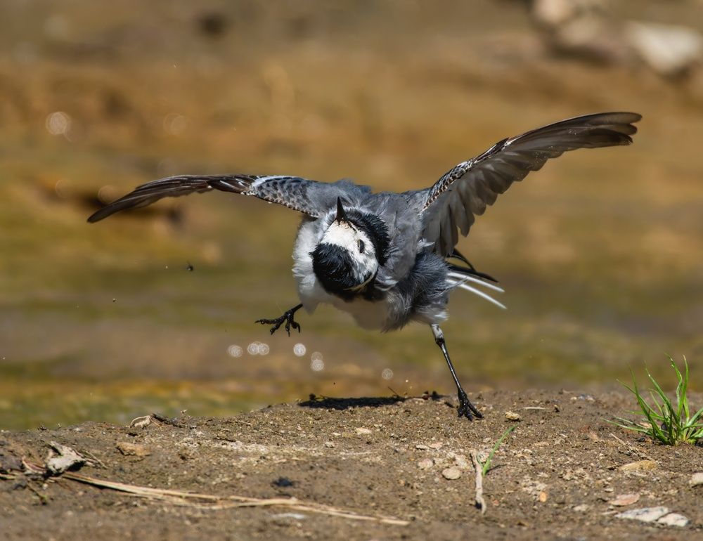 Photograph by Дэм Константин