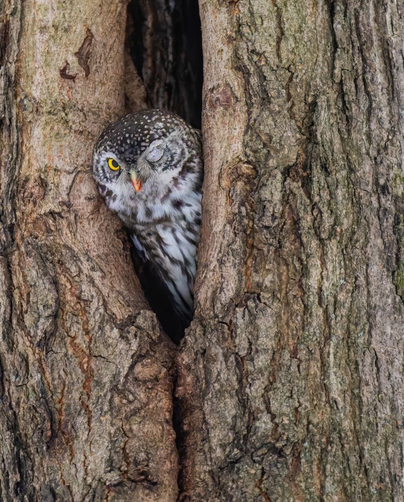 Photograph by Дэм Константин