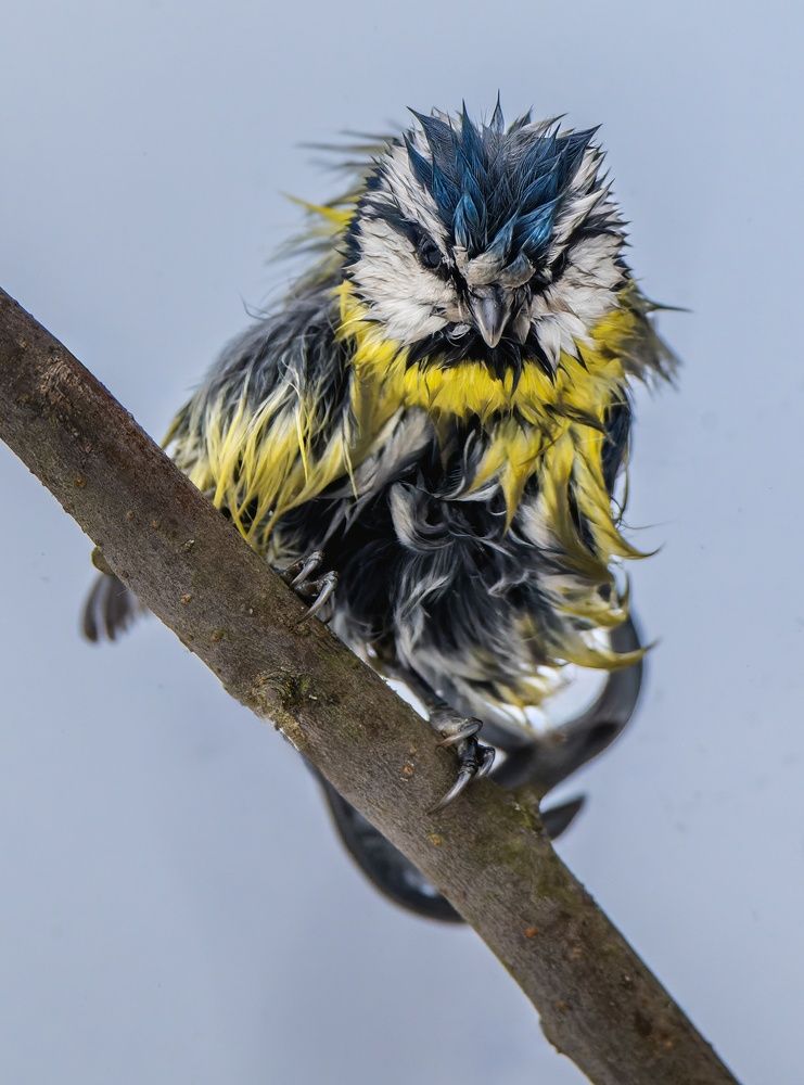 Photograph by Дэм Константин