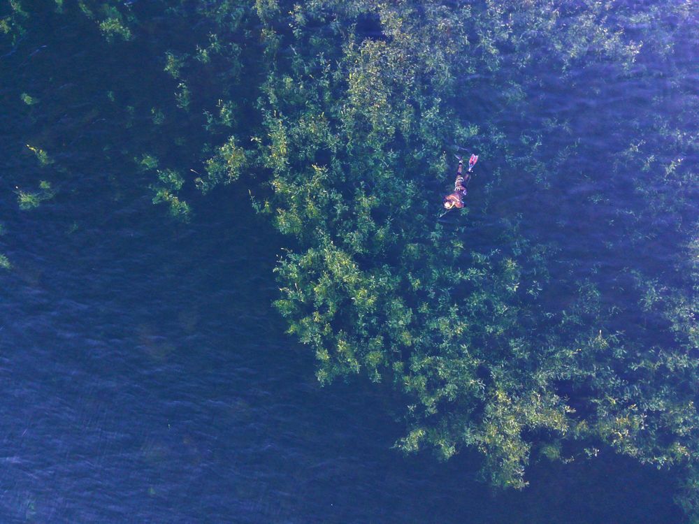 Photograph by Александр