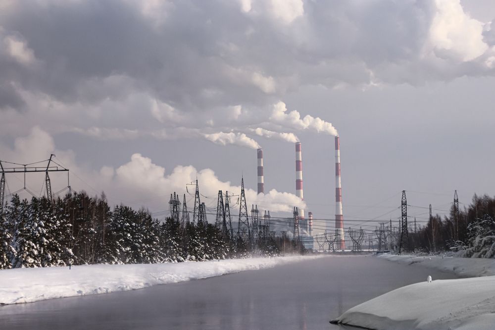 Фотография автора Елена Разина