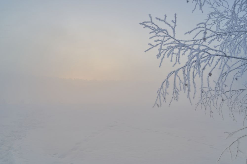 Photograph by Boris Nesh