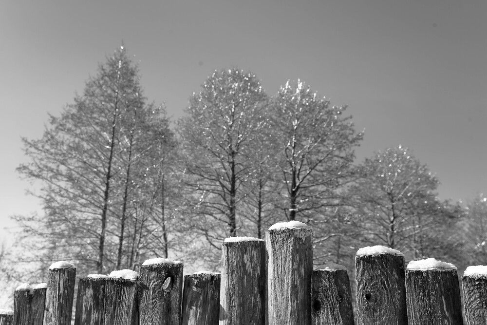 Photograph by Ирина Платицына