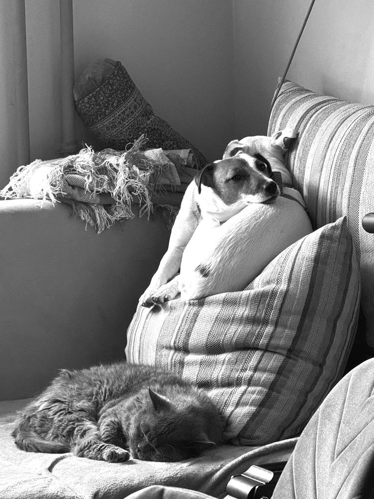 Photograph by Михаил Трусов