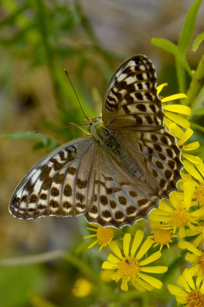 Photograph by Дмитрий Петренко