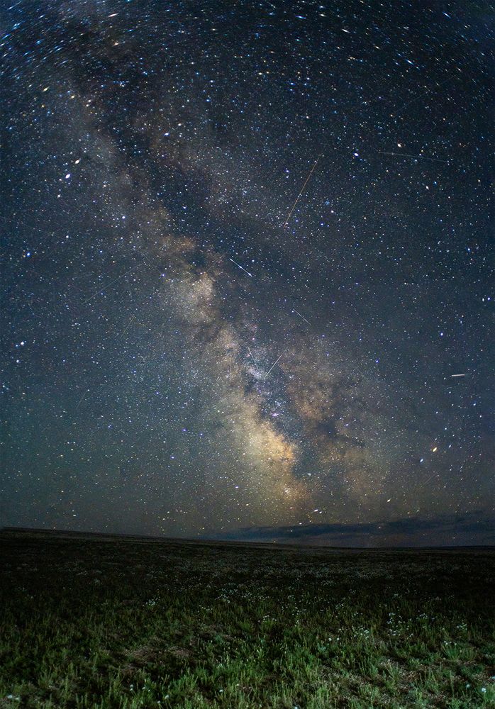 Photograph by Borjigon Bayasal