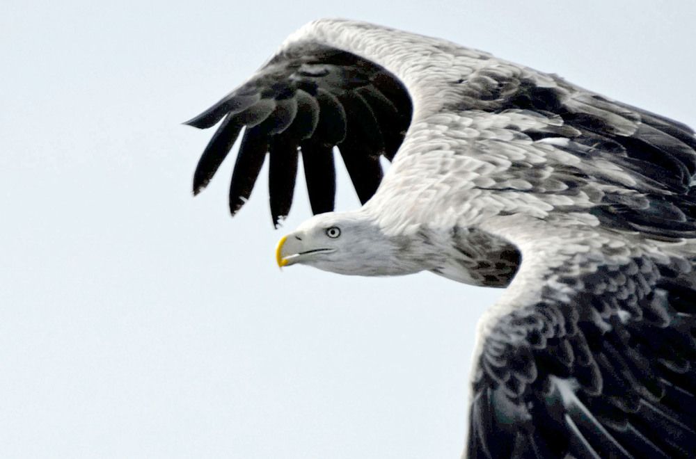 Photograph by Marjo Steffen