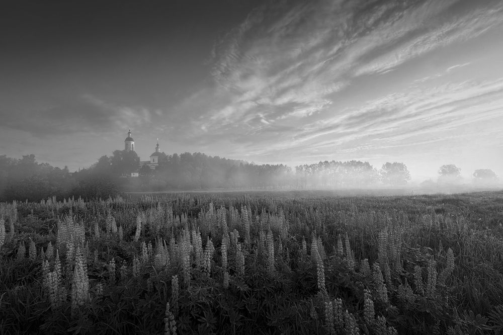 Photograph by Загруев Михаил