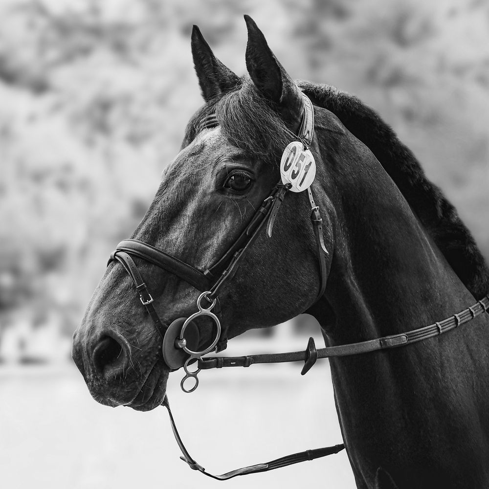 Photograph by Анжелика Титова