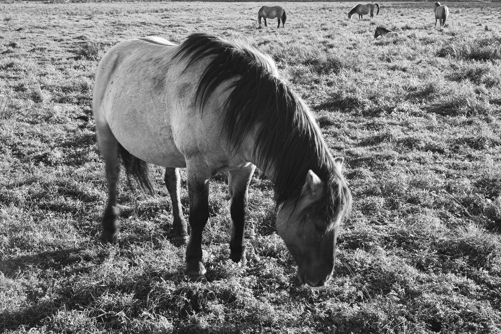 Фотография автора Вадим Копилец