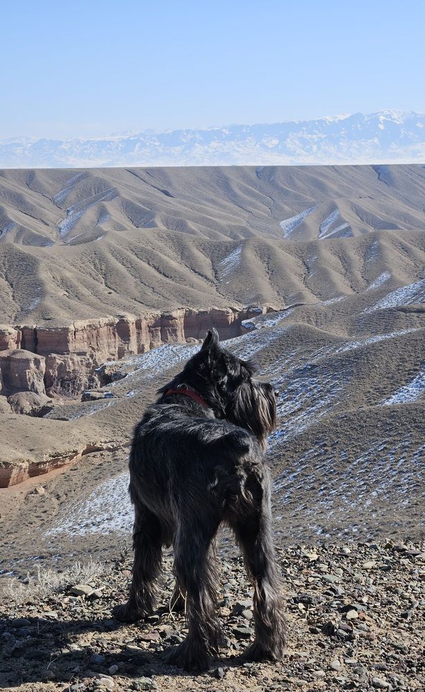 Photograph by Эльвира