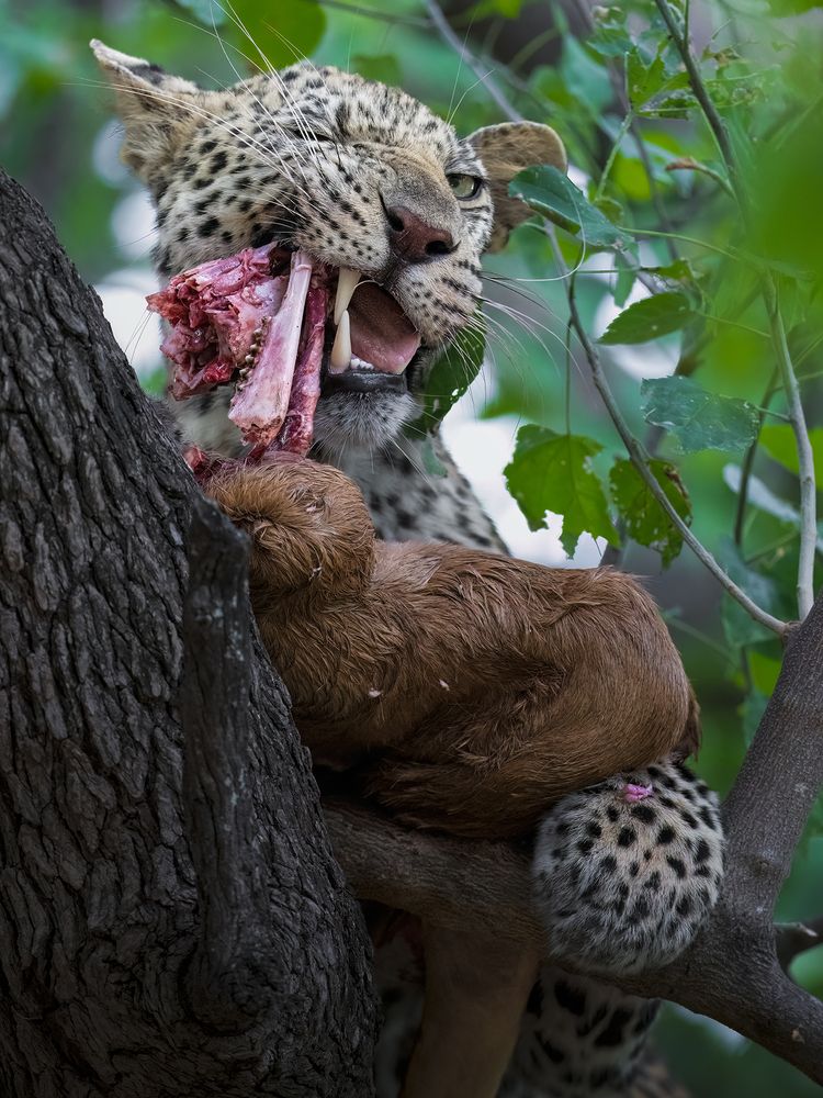 Photograph by Alexandra Surkova