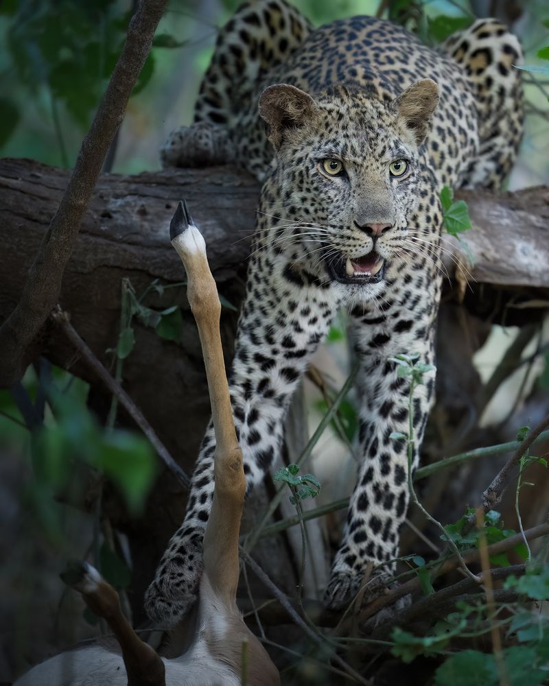 Photograph by Alexandra Surkova