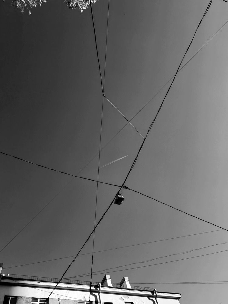 Photo #11929326