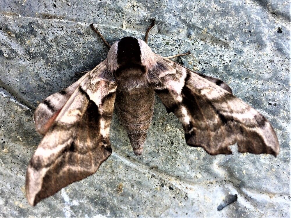 Photograph by Галина