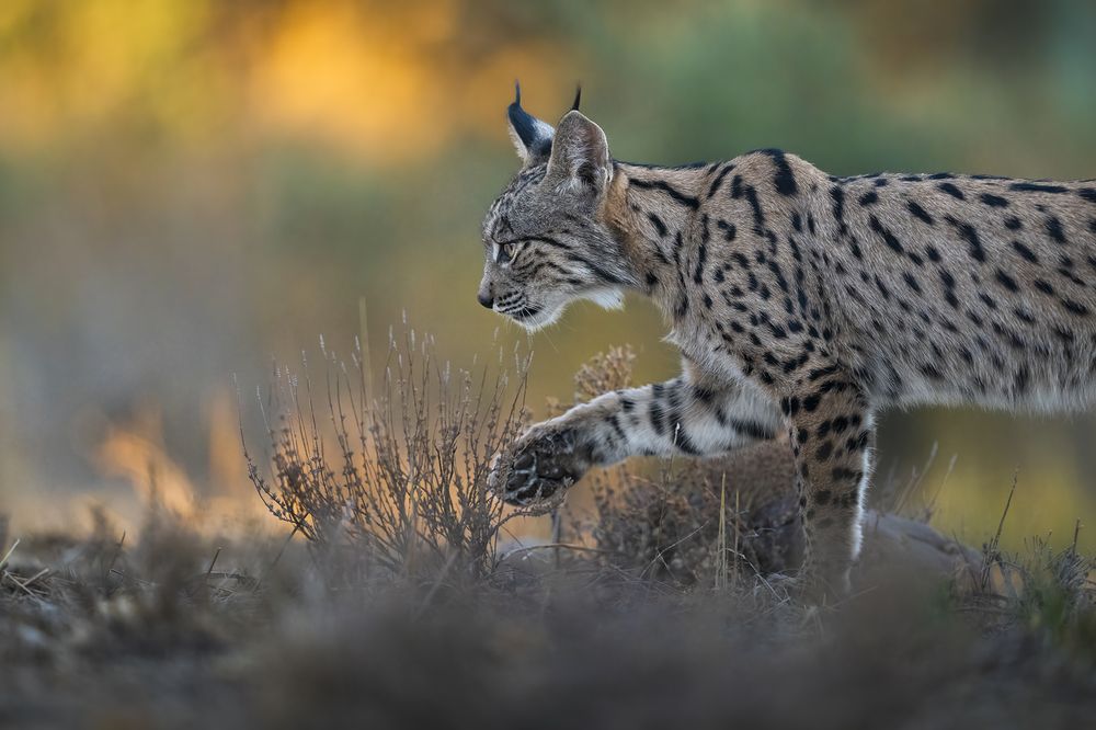 Photograph by Alexandra Surkova