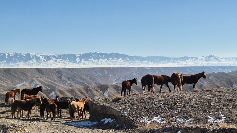 Каньон Темирлик